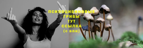дурь Абинск